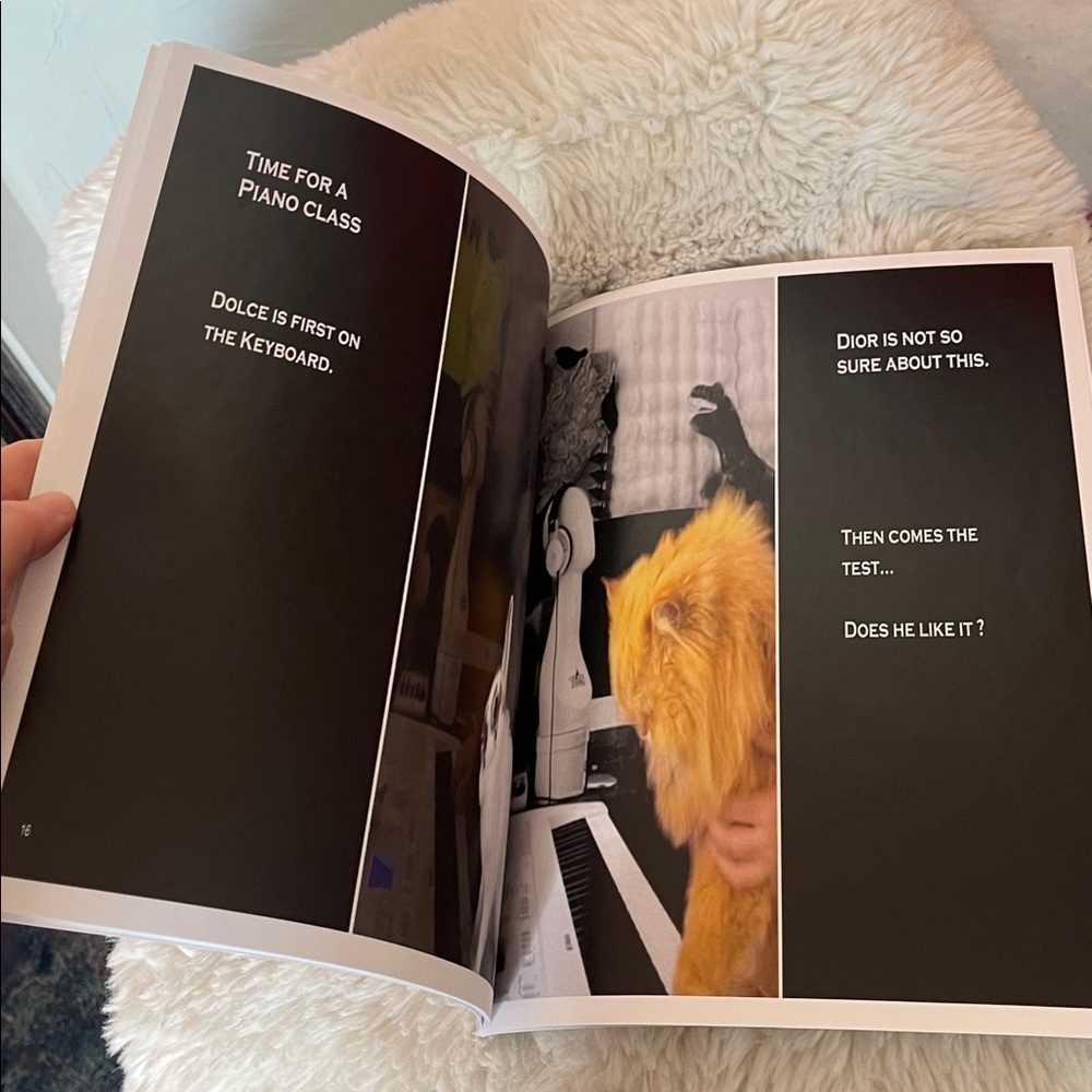 An Unexpected Friendship Book book published done the art work and written by me - Picture 5 of 6